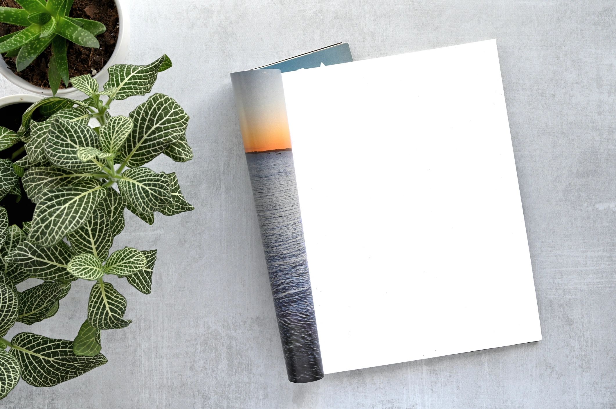 Open magazine mockup with blank page